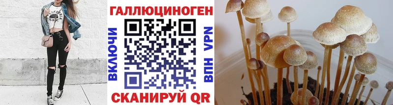 площадка какой сайт  где можно купить   Тихорецк  Галлюциногенные грибы Cubensis 